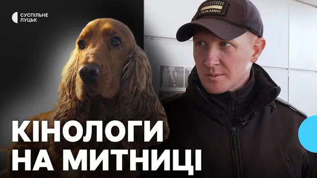Наркотики, бурштин, валюта: як собаки шукають заборонені речі на волинському кордоні (фото, відео)