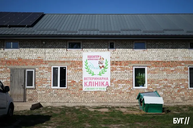 Із прифронтових територій та безпритульні: як живуть пухнастики у центрі «Дейл» біля Луцька (фото)