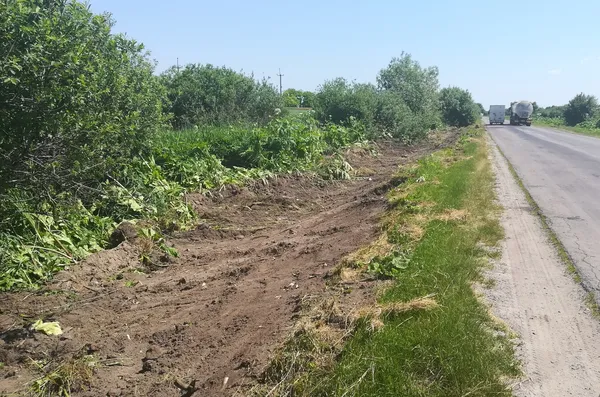 На узбіччях волинських доріг боролися із борщівником