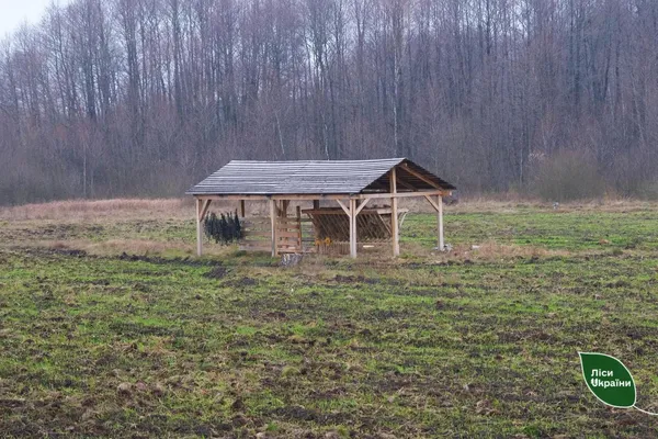 На Поліссі підтведили проживання рідкісного хижака