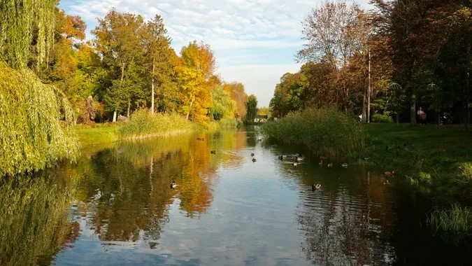 Фото: Суспільне
