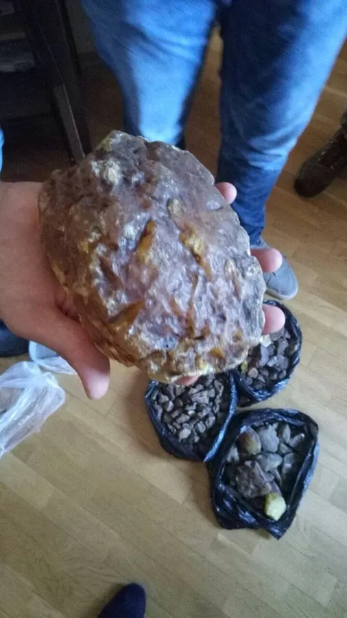На Волині викрили схему незаконного експорту бурштину (фото)