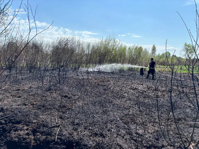 Масштабна пожежа у Луцькому районі: горить майже три гектари торфовища (фото)