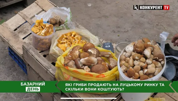 На луцькому ринку – грибний ажіотаж: ціни до 300 гривень за відерко (відео)