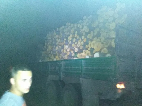 На Волині з вантажівки на іномарку впали дерев'яні колоди (фото)