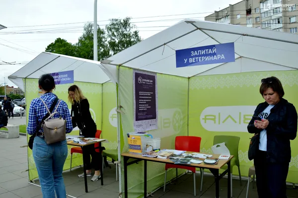 #мокріносики: у луцькому «Промені» песикам шукають хороших власників (фото)