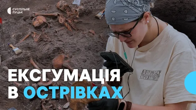 На Волині в Острівках тривають розкопки масових поховань: знайшли ще 6 людських останків (фото, відео)