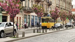 Як львів’яни змінили місто: на Urban Talks Lutsk розповіли про приклади міських ініціатив (фото)