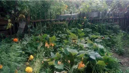 У Луцьку демонтували незаконні огорожі (фото)