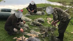 Волинянам, які сітками рибалили у нацпарку «Цуманська пуща», винесли вирок