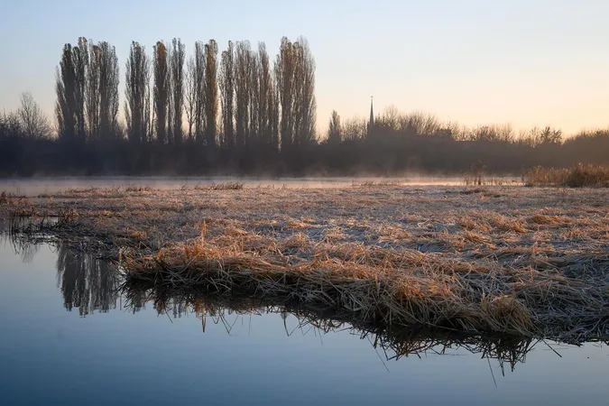 Серпанковий світанок: показали ранкову красу Гнідавського болота (фото)