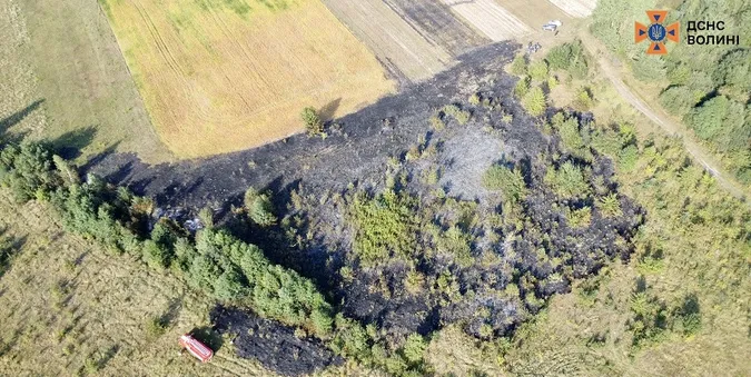 У Луцькому районі сталися сім пожеж у полях – двох паліїв зловили (фото)