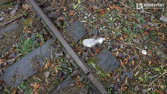 Доля дитячої залізниці: лучани з експертами дослідили локацію (фото)