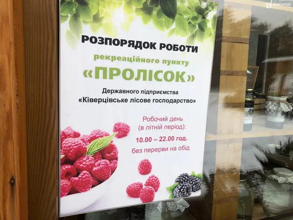 Слоїк меду, або Як на Волині з бджолиного продукту роблять крем (фото, відео)