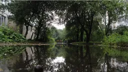 Підтоплені двори і опале листя: наслідки грози у Луцьку (фото)