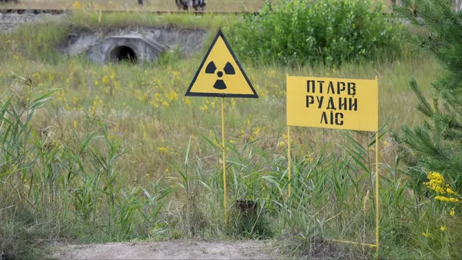 😳Які тварини у Чорнобильській зоні поглинули найбільше радіації