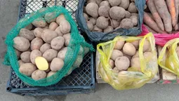 Скільки коштує картопля на луцьких ринках