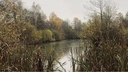 На Волині знайшли місце народження Прип'яті (фото)