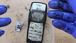 Nokia пролежала 15 років у Чорному морі: що з нею стало (фото)