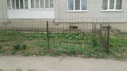 У Луцьку продовжують зносити паркани під багатоповерхівками (фото) 