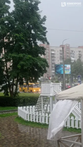 Луцьк раптово накрила потужна злива: буревій повалив дерева (фото, відео)