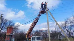 На Волині облаштовують штучні лелечі гнізда на електроопорах (фото, відео)