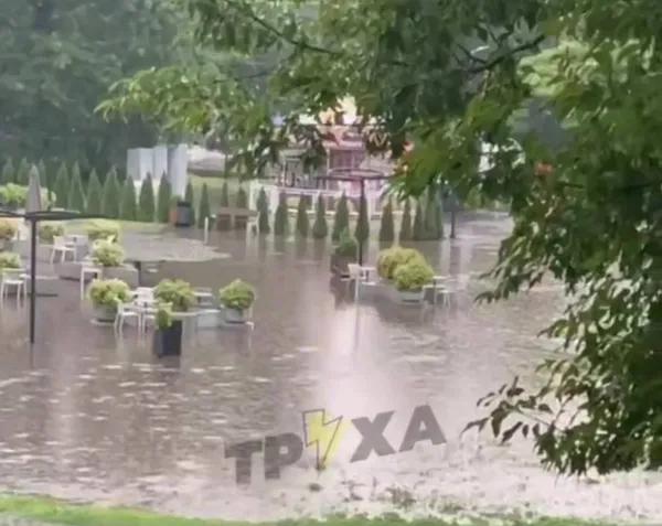 Автівки «пливуть», дерева падають: що накоїла потужна злива у Луцьку (фото, відео)