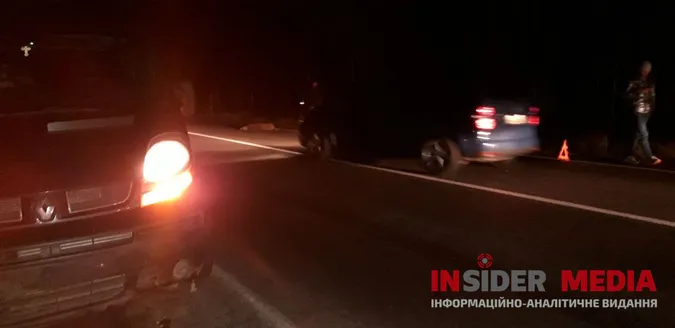 На дорозі Ковель-Луцьк автомобіль на смерть збив дикого кабана (фото 18+)