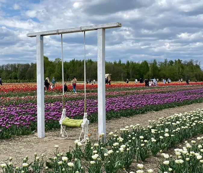 фото зі сторінки «Волинської Голландії»