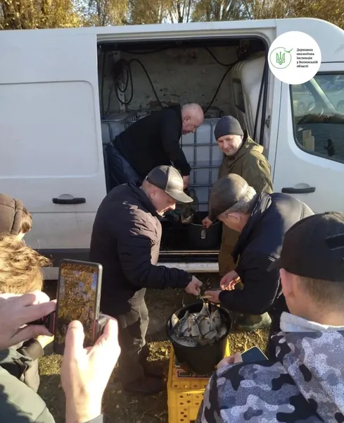 У Ковельське водосховище запустили пів тонни коропів та білих амурів (фото)