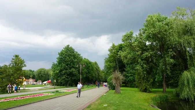 Заквітчаний луцький парк перед грозою (фото)