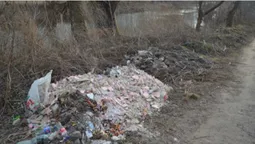 У «Старому місті» берег річки Стир забруднений сміттям (фото)