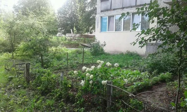 Проспект Соборності у Луцьку очистили від обмежувачів руху (фото) 