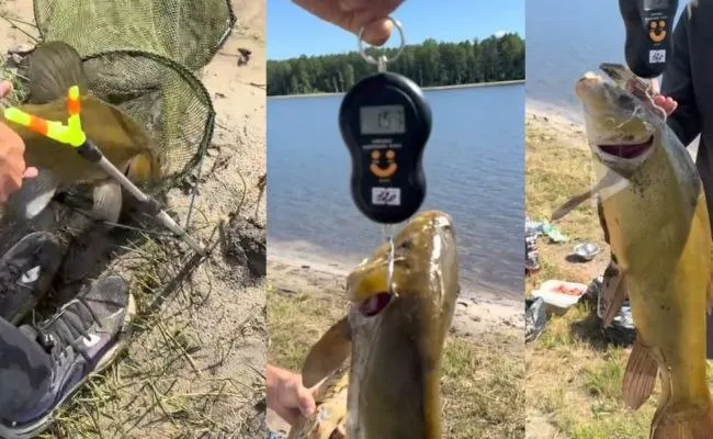 Скрини із згаданого відео