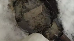 В унікальних Оконських джерел на Волині знову б'є вода (відео)