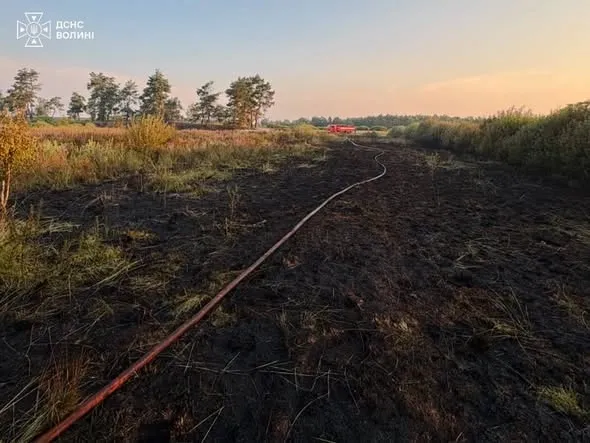 На Волині майже добу гасили пожежу торфу (фото)