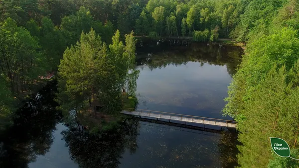 Озеро-кит посеред лісу: де ховається справжнє природне диво (фото)