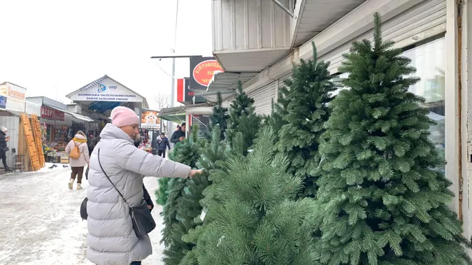 Скільки коштують ялинки на «Варшавському ринку» Луцька (фото)