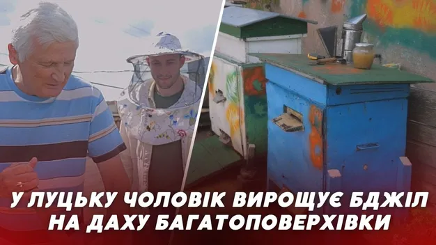 У Луцьку чоловік на даху багатоповерхівки облаштував пасіку (відео)