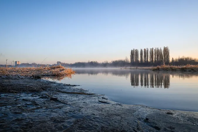 Серпанковий світанок: показали ранкову красу Гнідавського болота (фото)