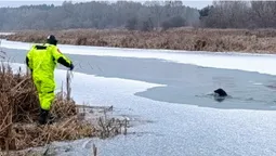 На Волині рятувальники витягнули собаку з крижаної Турії (фото)