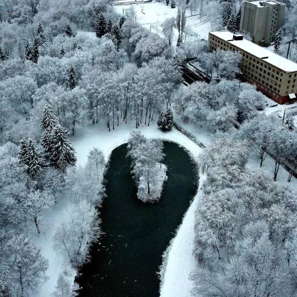 Крутезні фото засніженого Луцька з висоти
