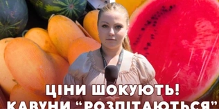 Чому продавці у Луцьку поки радять купувати грецькі, а не українські кавуни (відео)