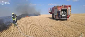 Пожежі охопили кілька громад Волині: вогонь дістався торфовища (фото)