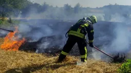 Чотири пожежі за добу: на Волині люди масово палять сухостій