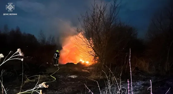 Горіли поля, очерет і торф: Волинь накрила хвиля масштабних пожеж (фото)