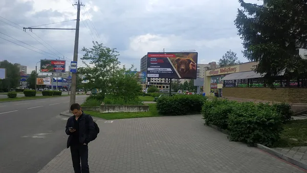 У Луцьку на білбордах з'явилися безпритульні тварини (фото)