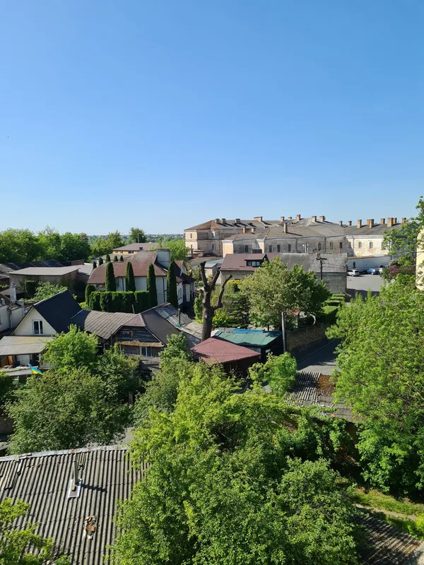 Цвітуть кульбабки і бузок: травень біля стін Луцького замку (фото)