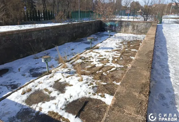 Басейн фонтану заростає травою
