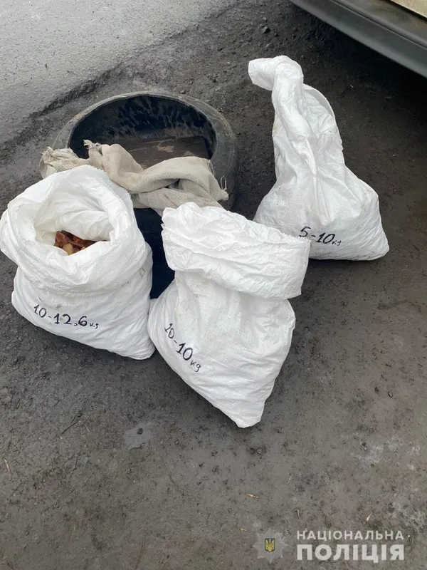 На Рівненщині сільського голову спіймали з бурштином на 30 тисяч доларів (фото, відео)